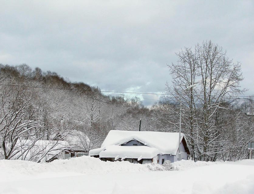 photo "House in Paratunka" tags: landscape, nature, travel, Kamchatka, sky, snow, winter, Камчатка, Паратунка, деревья, дом