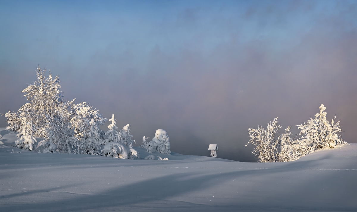 photo "***" tags: landscape, fog, snow, water, winter, мороз