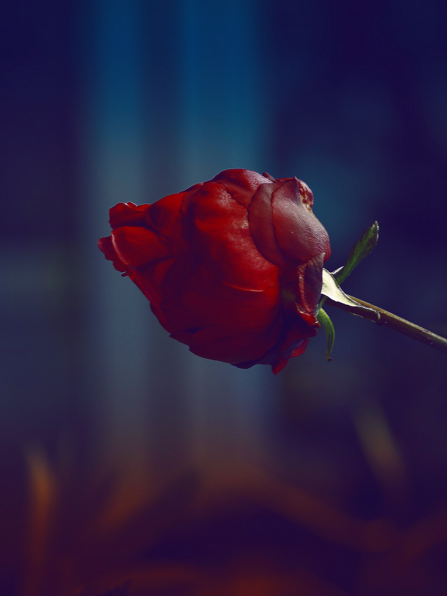 фото "***" метки: природа, 