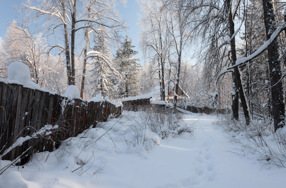 photo "***" tags: landscape, forest, snow, winter, деревья, забор, избушка, мороз, следы, сугробы