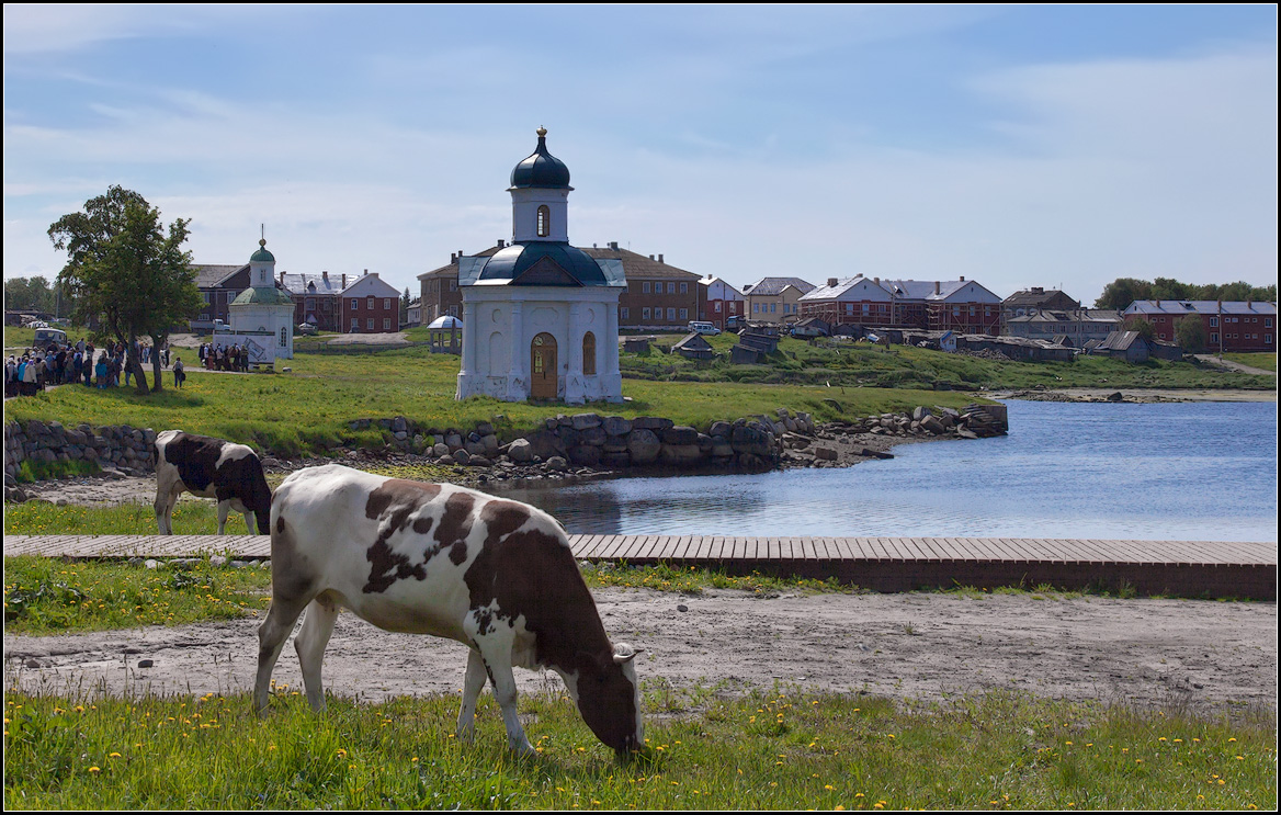 photo "Solovki" tags: travel, 