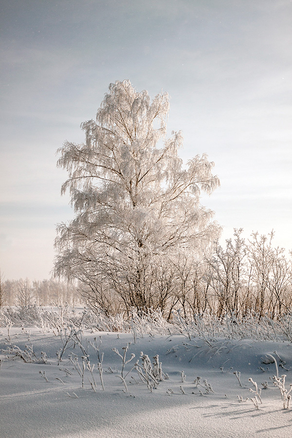 фото "****" метки: пейзаж, 