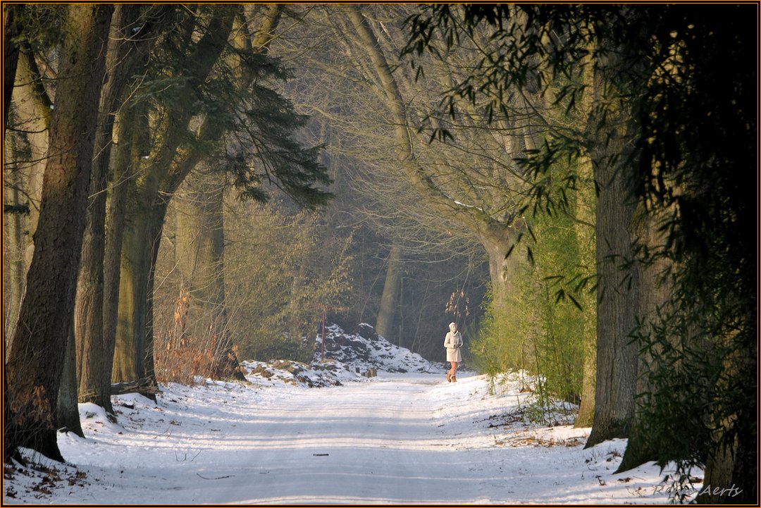 фото "***" метки: пейзаж, природа, спорт, forest, woman