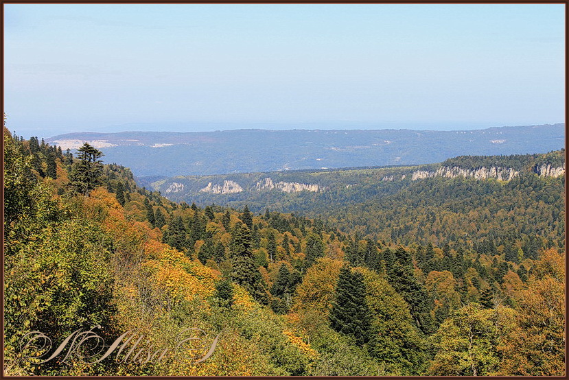 photo "***" tags: landscape, forest, mountains, Лаго-Наки, адыгея