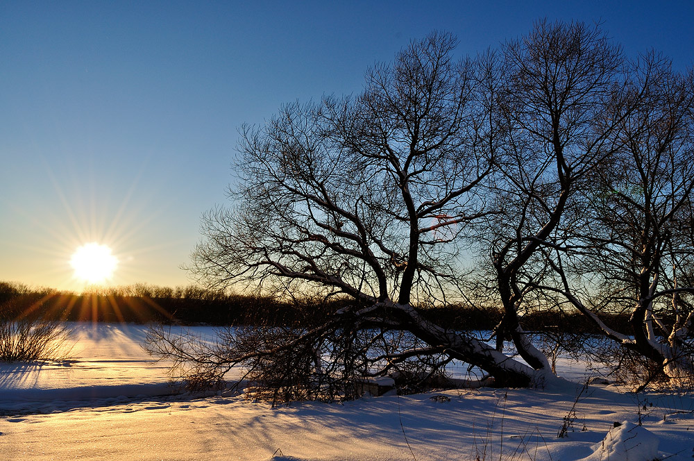 photo "***" tags: landscape, sun, winter, вечер.