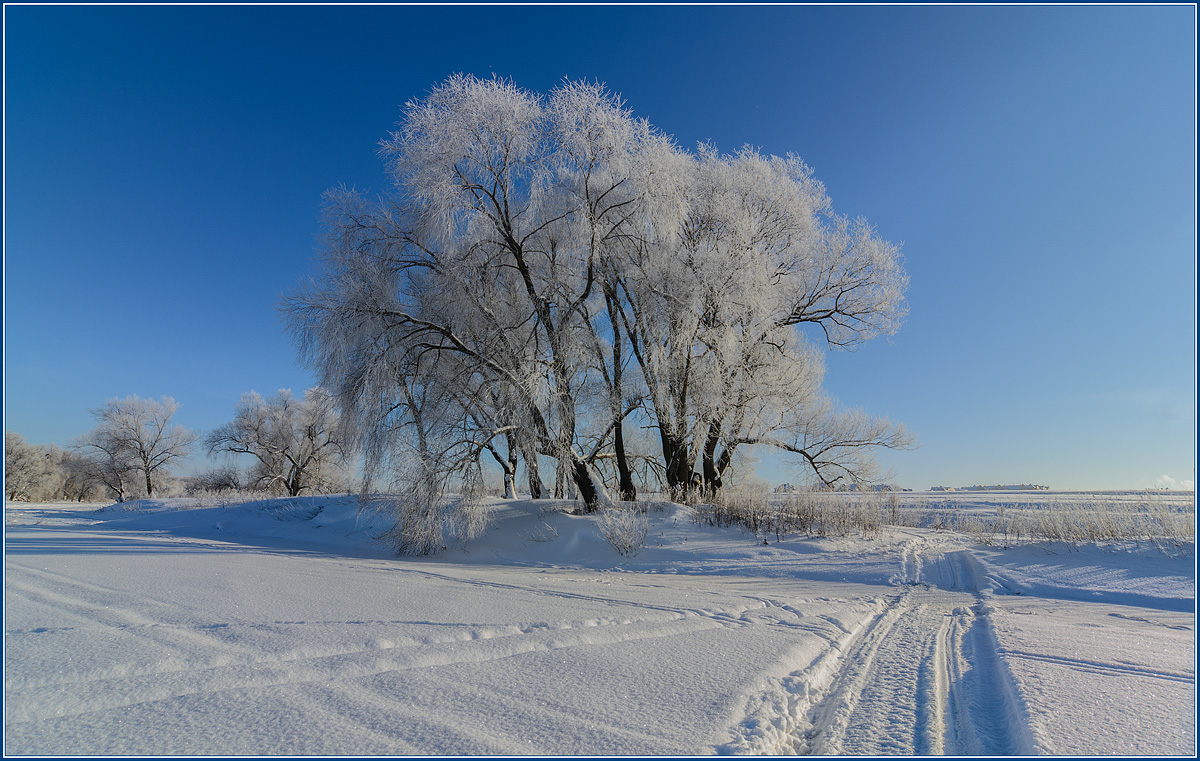 photo "***" tags: landscape, winter