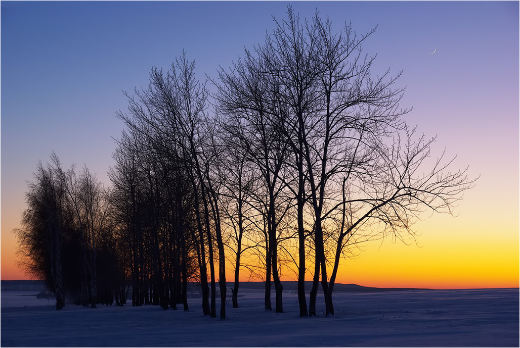 photo "***" tags: landscape, evening, sky, sunset, winter, деревья, месяц