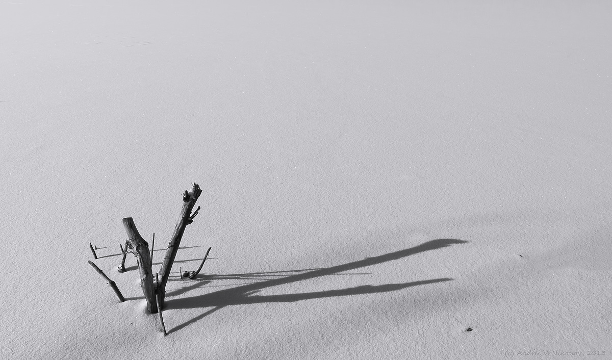 photo "* * *" tags: landscape, black&white, Sterling Forest State Park, black  white, lake, winter