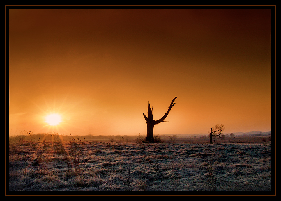 photo "Winter Sunrise" tags: landscape, 