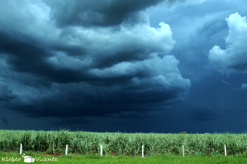 photo "on the road" tags: nature, 