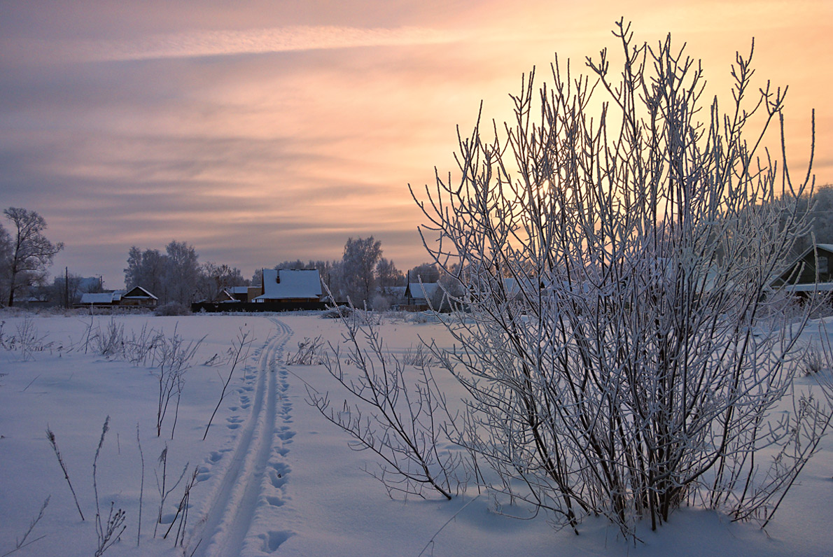 photo "***" tags: , snow, sun, sunrise, winter