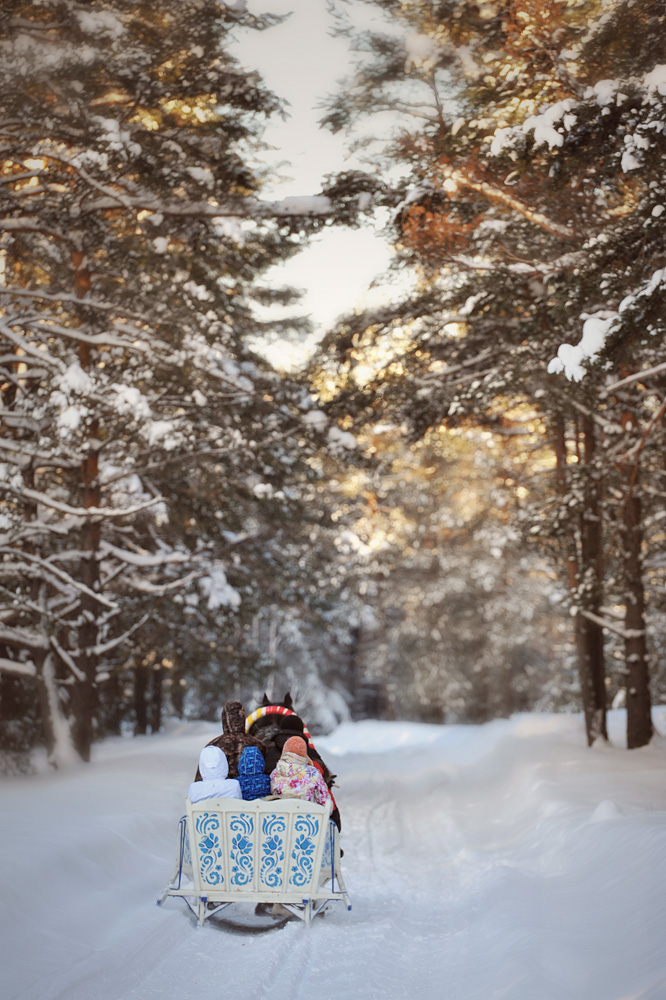 photo "***" tags: landscape, nature, forest, road, tree, winter