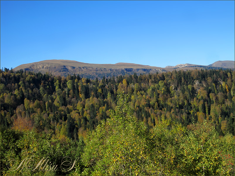 photo "***" tags: travel, forest, mountains, Лаго-Наки, адыгея