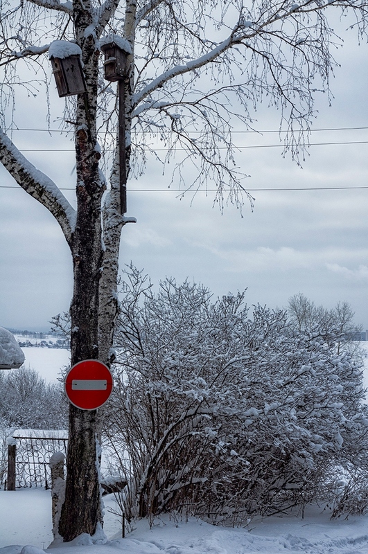 фото "***" метки: , зима