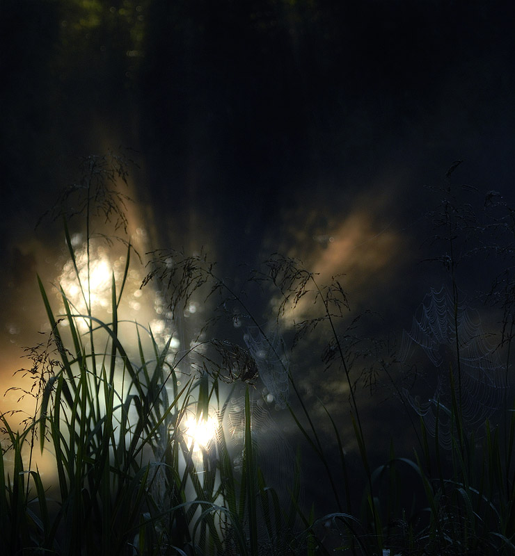 photo "***" tags: nature, 