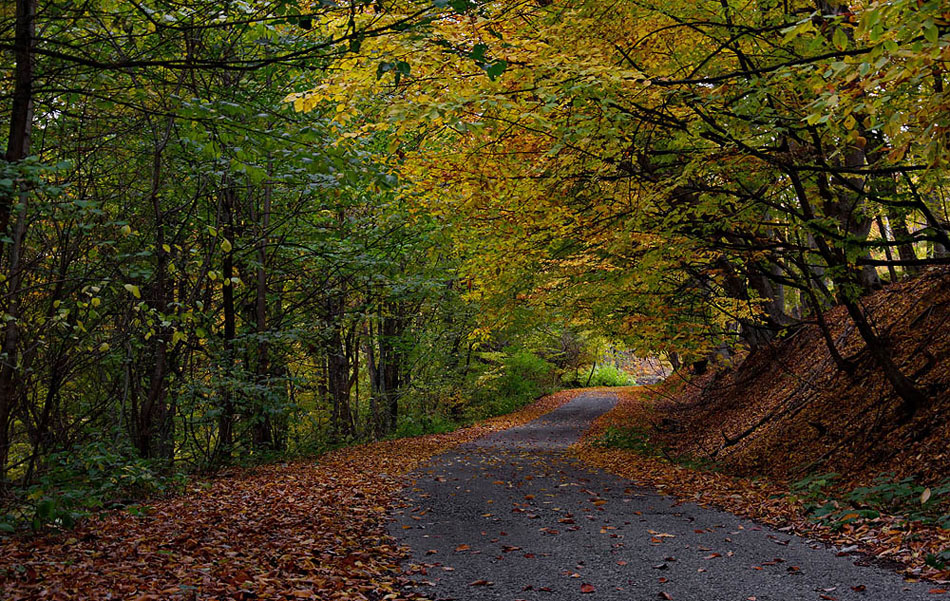 photo "***" tags: landscape, 