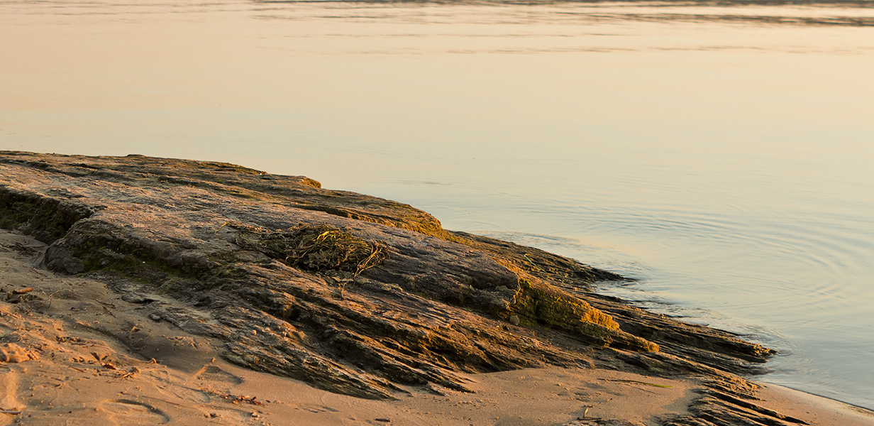 photo "***" tags: landscape, Dnieper, Ukraine, beach, river, sunset, water, Запорожье, октябрь