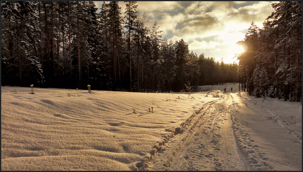 фото "Лыжники" метки: пейзаж, дорожка, зима, снег, солнце, сосны, январь