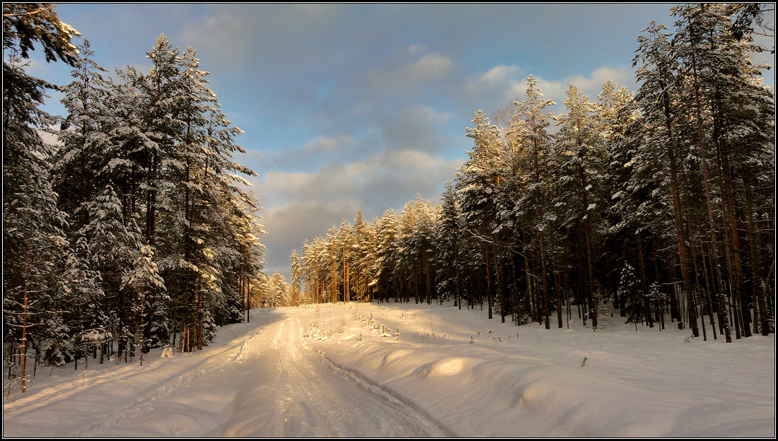 фото "***" метки: пейзаж, зима, снег, солнце, январь