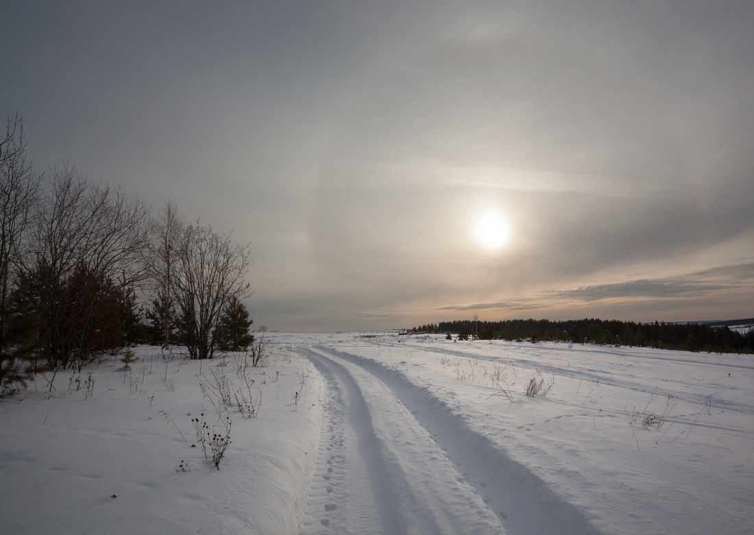 photo "***" tags: landscape, forest, snow, sun, winter, гало, деревья, колея