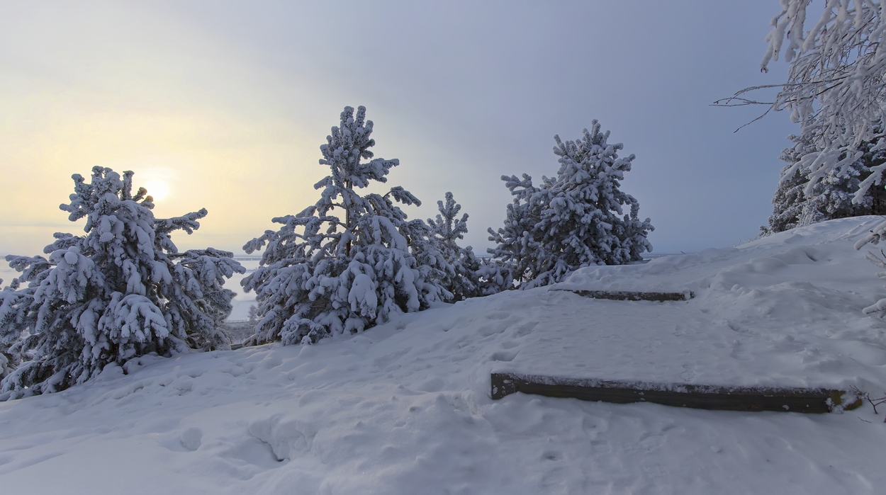 photo "***" tags: landscape, snow, winter, мороз