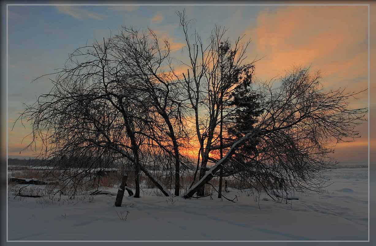 photo "***" tags: , 
