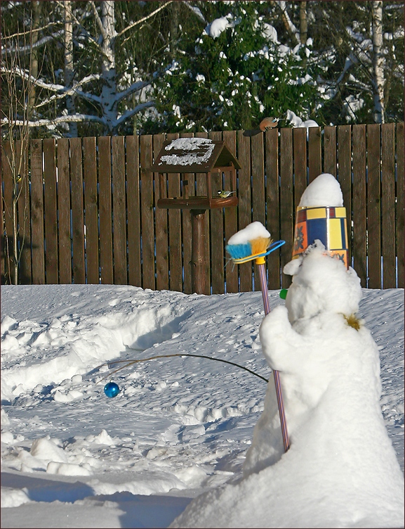 photo "Snowy scarecrow for Jays" tags: , 