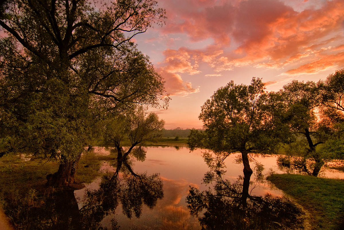 фото "Краски разлива" метки: пейзаж, природа, Весна разлив заря