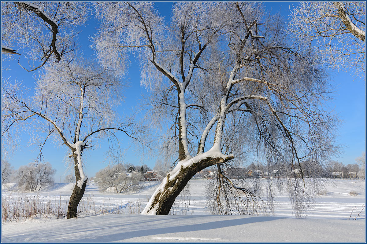 фото "*****" метки: пейзаж, зима