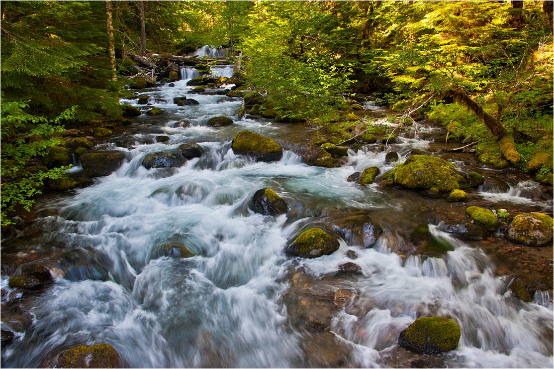 photo "***" tags: landscape, forest, water