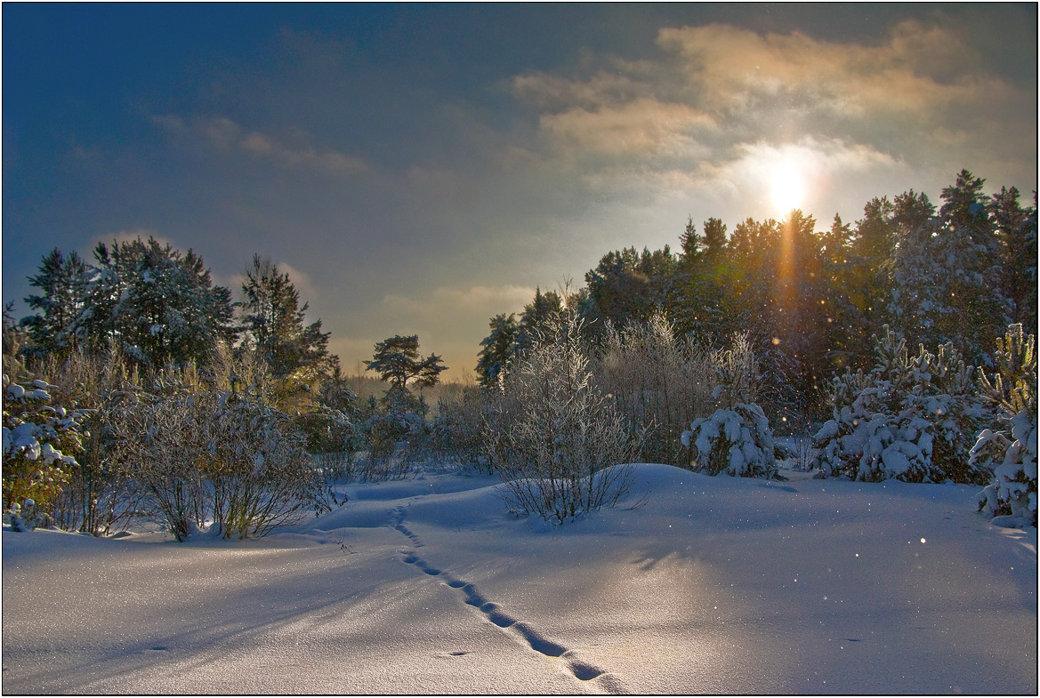 photo "***" tags: landscape, winter, мороз