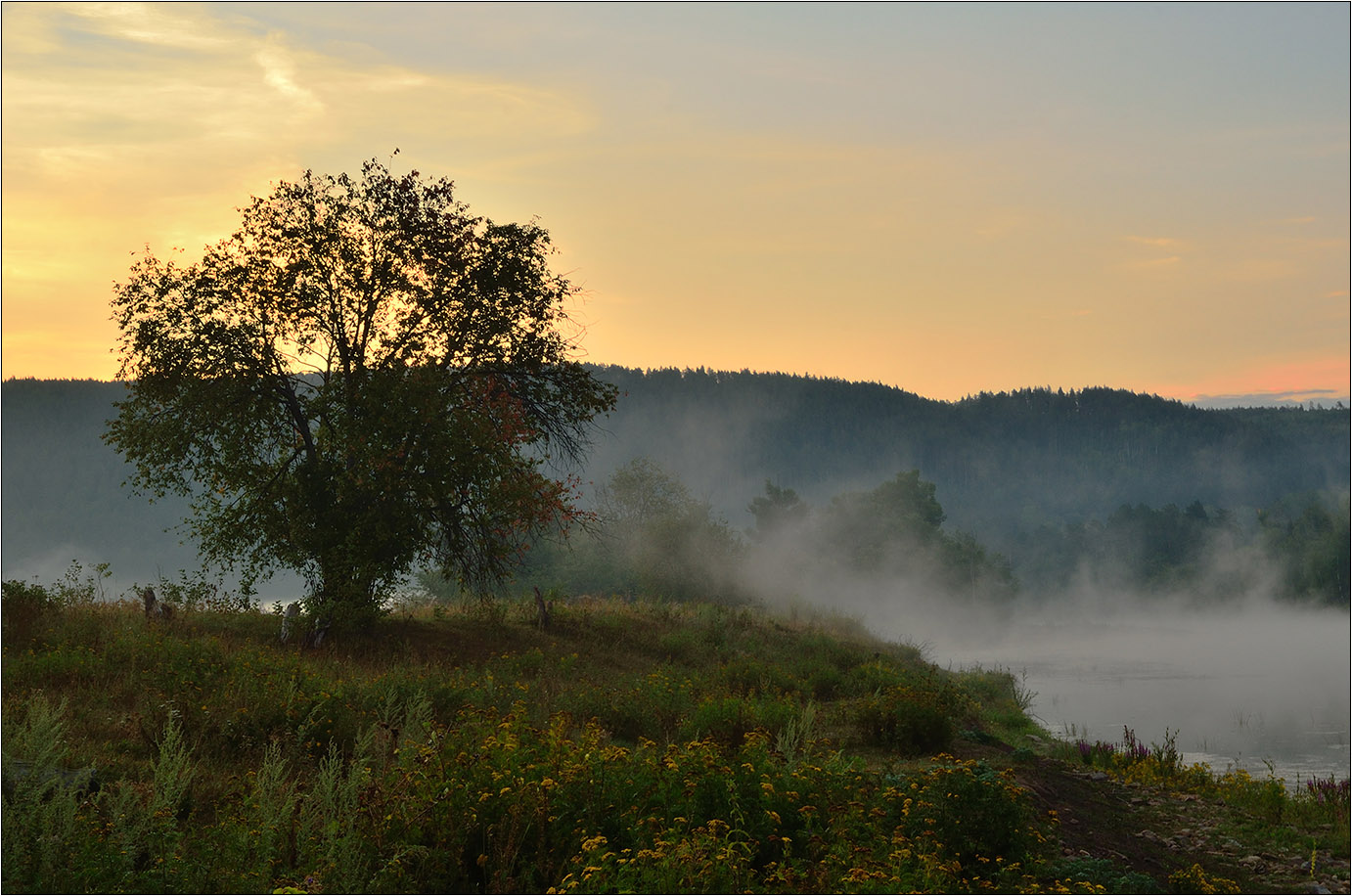 photo "***" tags: landscape, clouds, flowers, fog, forest, meadow, morning, river, sky, summer, Восход, берега, деревья