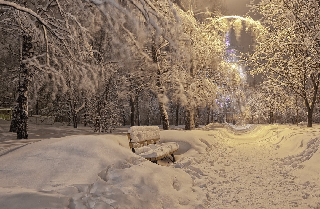 photo "***" tags: landscape, night, winter, порыв ветра