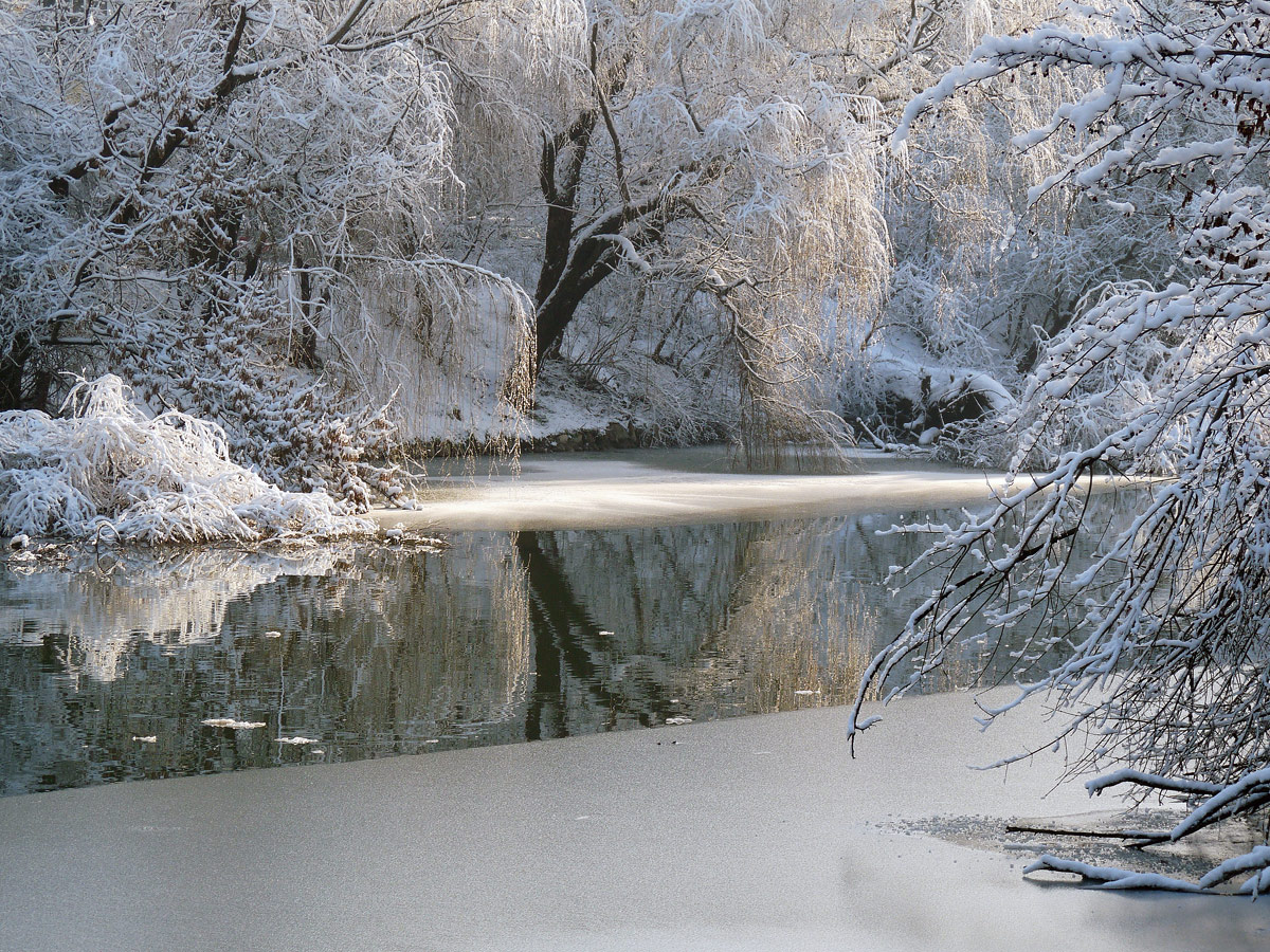 photo "***" tags: landscape, winter