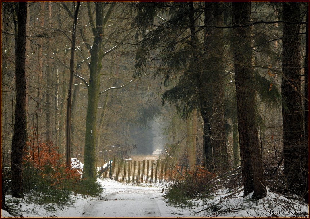 photo "***" tags: landscape, street, 