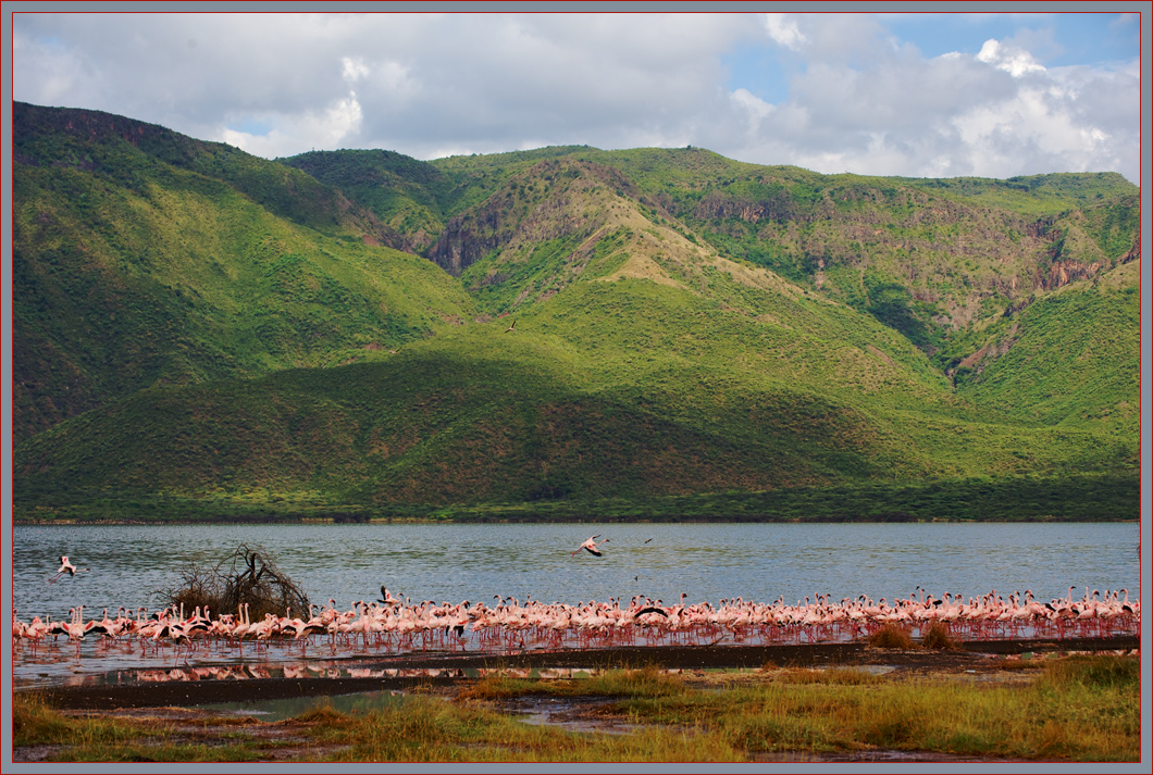 фото "Горное озеро" метки: пейзаж, природа, путешествия, Африка, горы, озеро, птицы