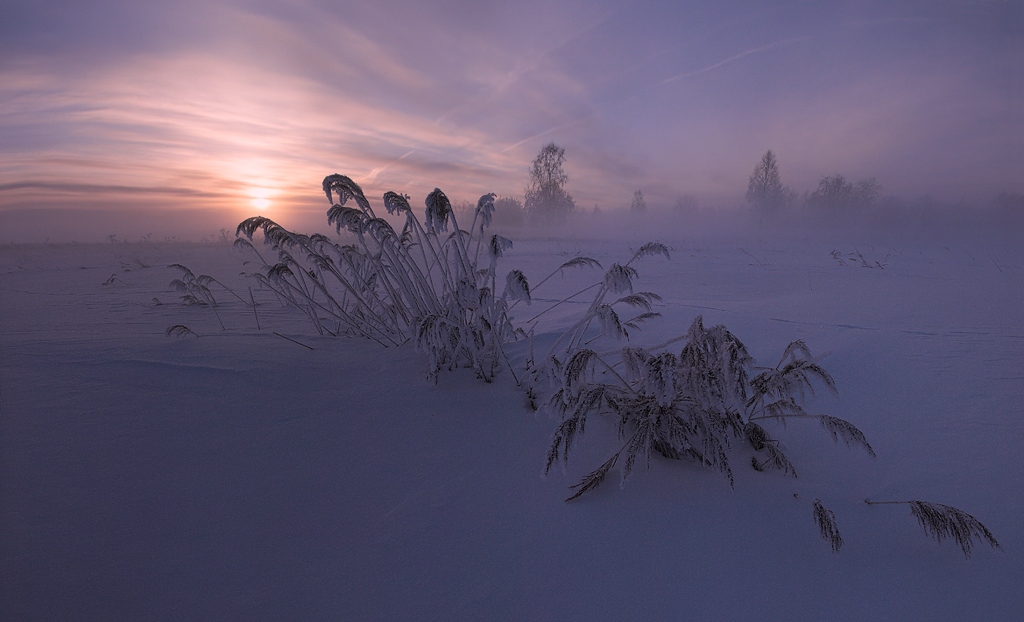 photo "*" tags: landscape, fog, morning, sunrise, winter, мороз