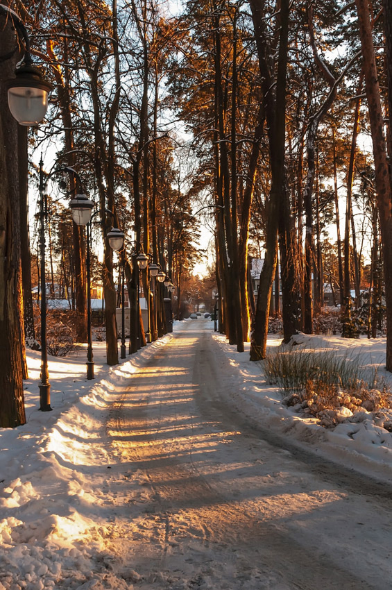 photo "***" tags: landscape, forest, winter