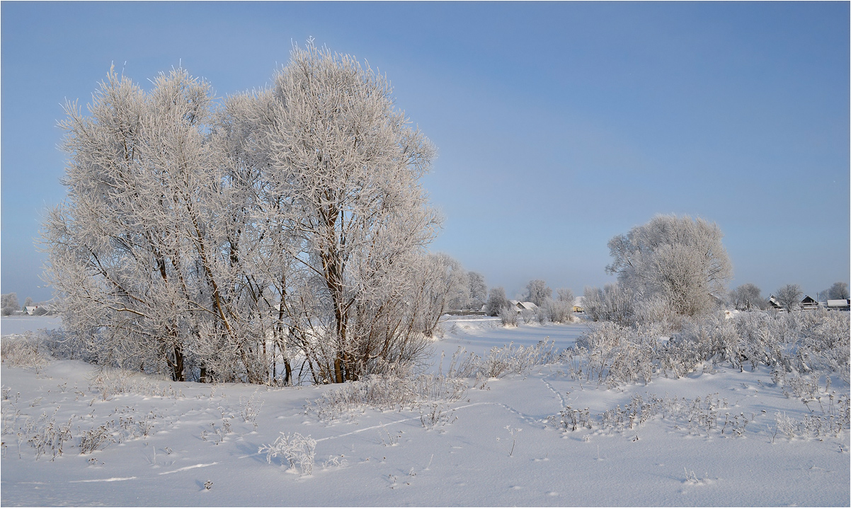 фото "Зимний сон" метки: пейзаж, дома, зима, иней, снег