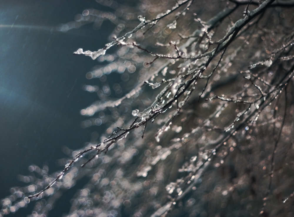 фото "***" метки: природа, 