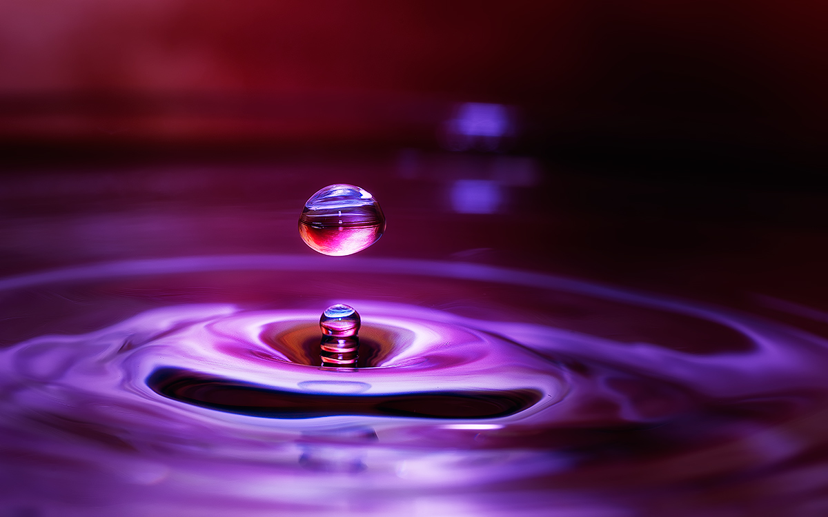 photo "Just a drop of water" tags: macro and close-up, 