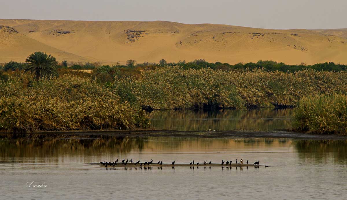 фото "On the NILE" метки: путешествия, 