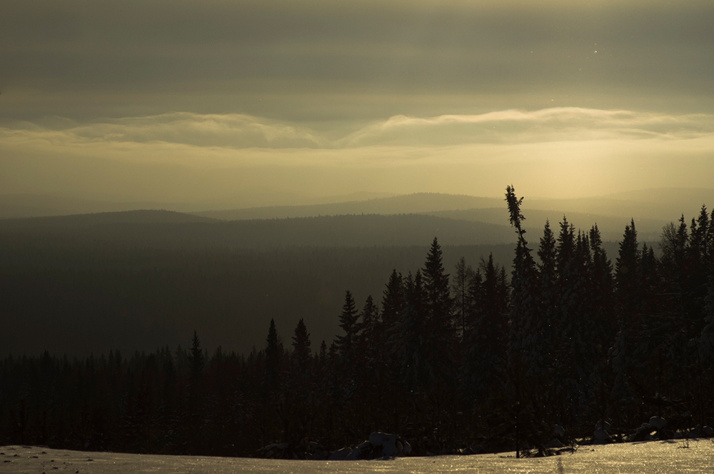 photo "***" tags: landscape, nature, clouds, forest, winter