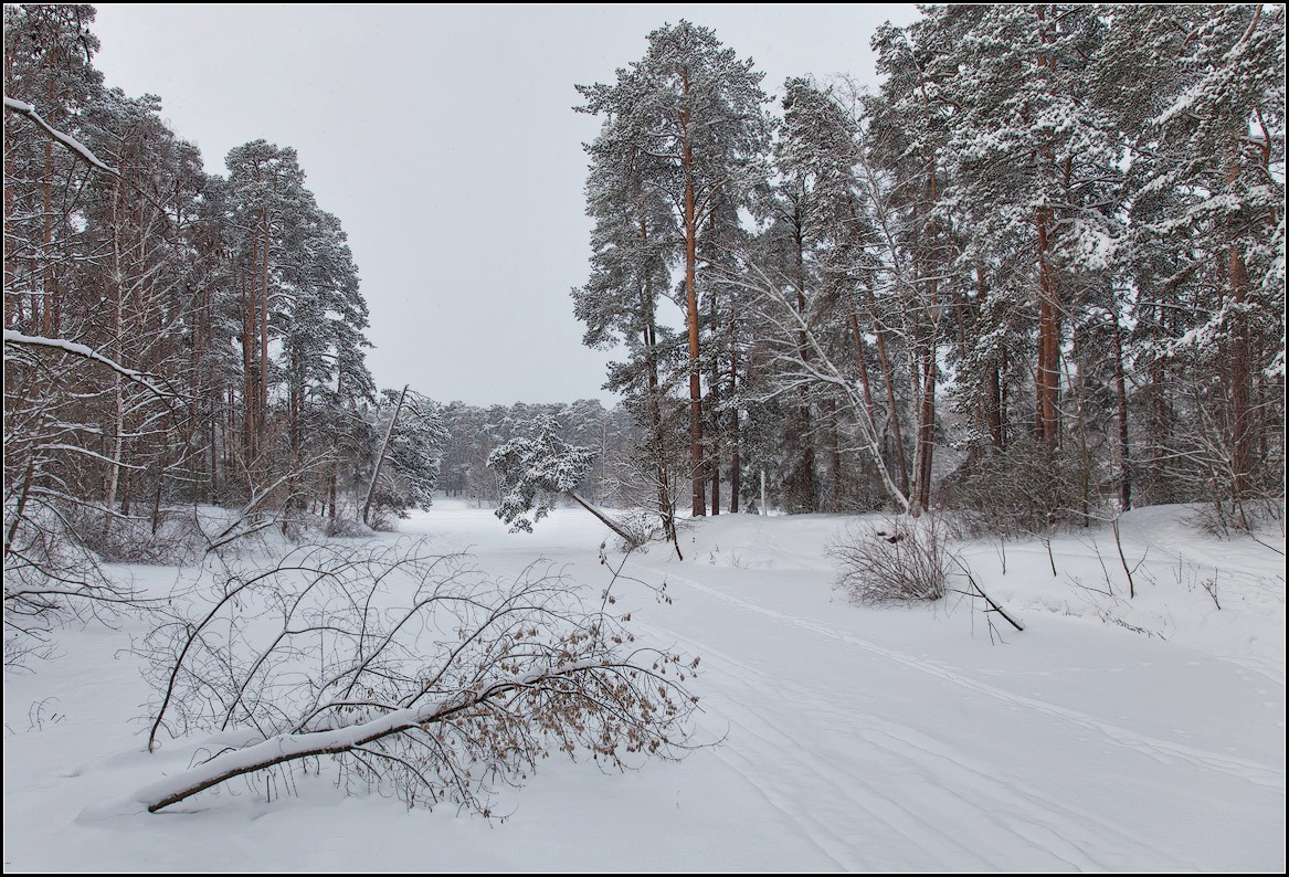 фото "Февраль" метки: пейзаж, природа, 