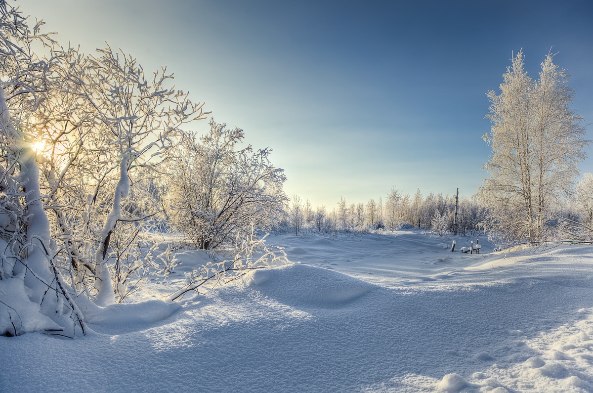 photo "***" tags: landscape, nature, snow, sun, winter, мороз, солнечный день