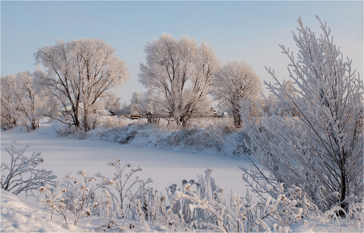 фото "В зимних тонах" метки: пейзаж, дома, зима, иней, снег