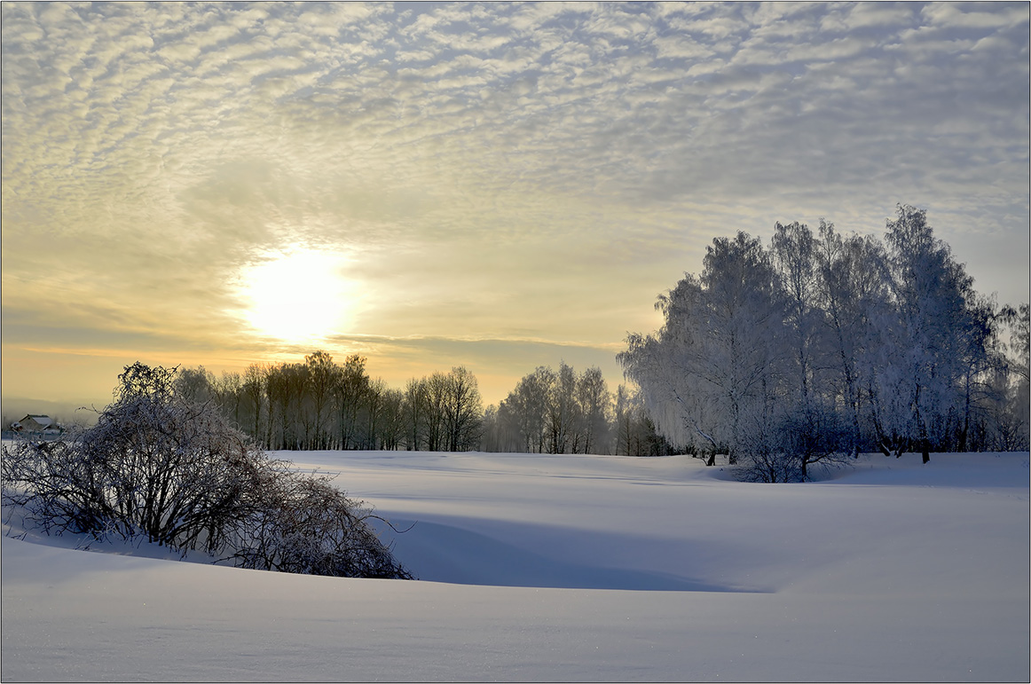 photo "***" tags: landscape, clouds, morning, sky, snow, sun, winter, деревья