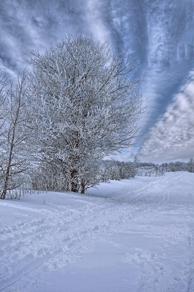 photo "***" tags: landscape, evening, snow, winter