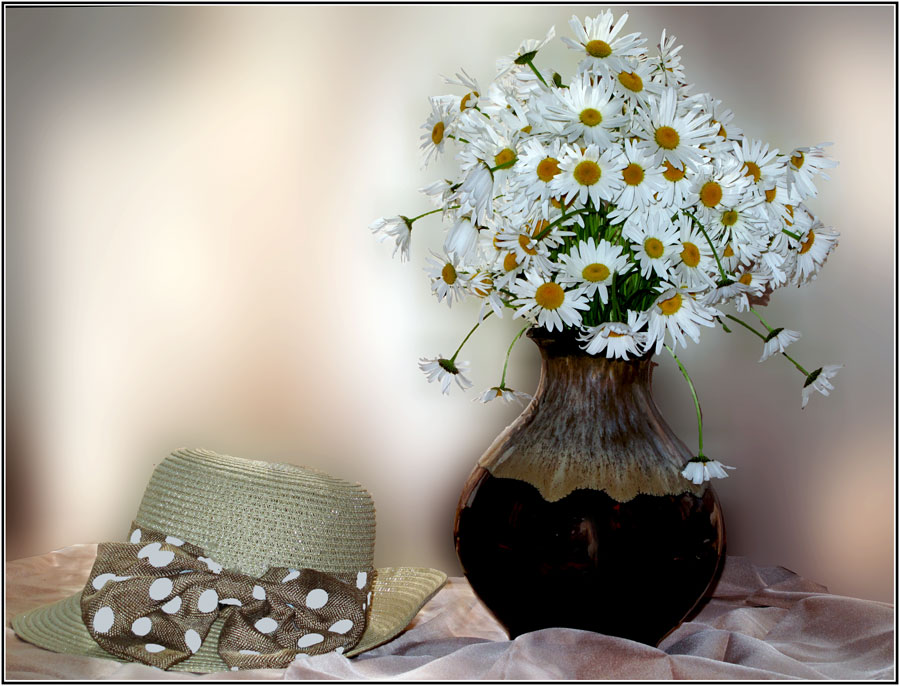 фото "***" метки: природа, лето, цветы, шляпа