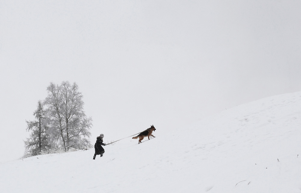 photo "***" tags: landscape, misc., genre, winter, девочка, собака